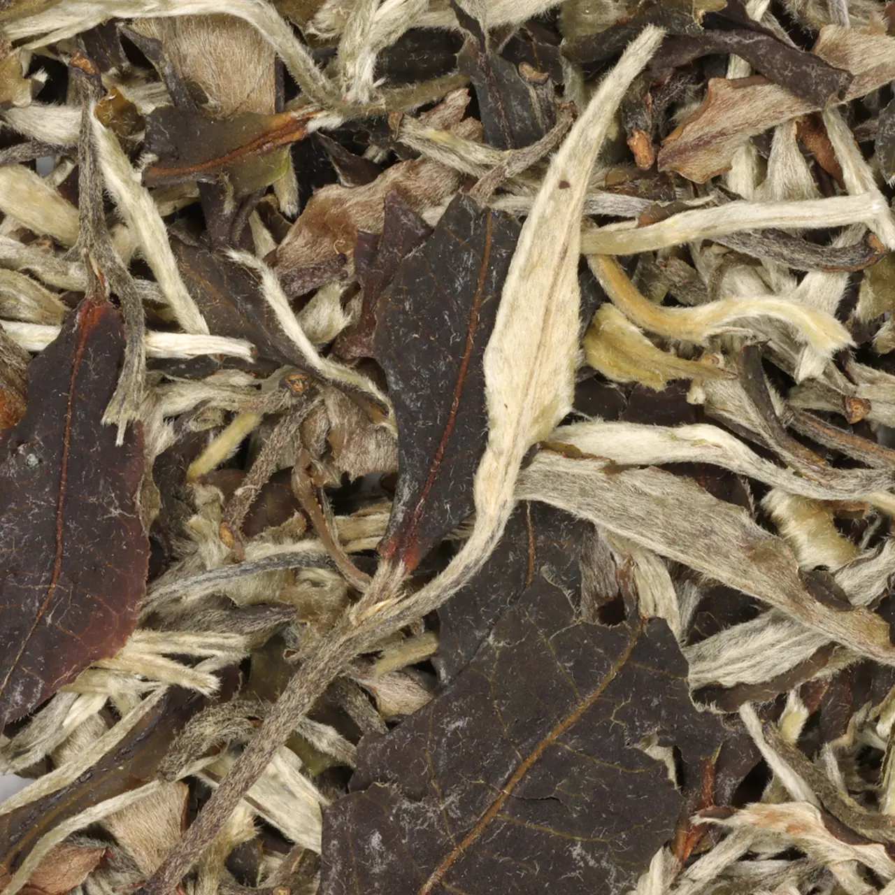 009-yue-guang-bai-moonlight-white-biologische-witte-thee