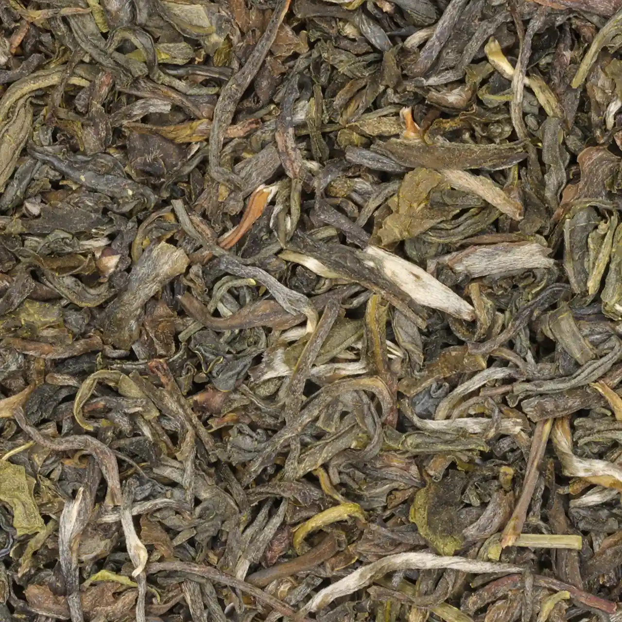 109-jasmijn-biologische-groene-thee