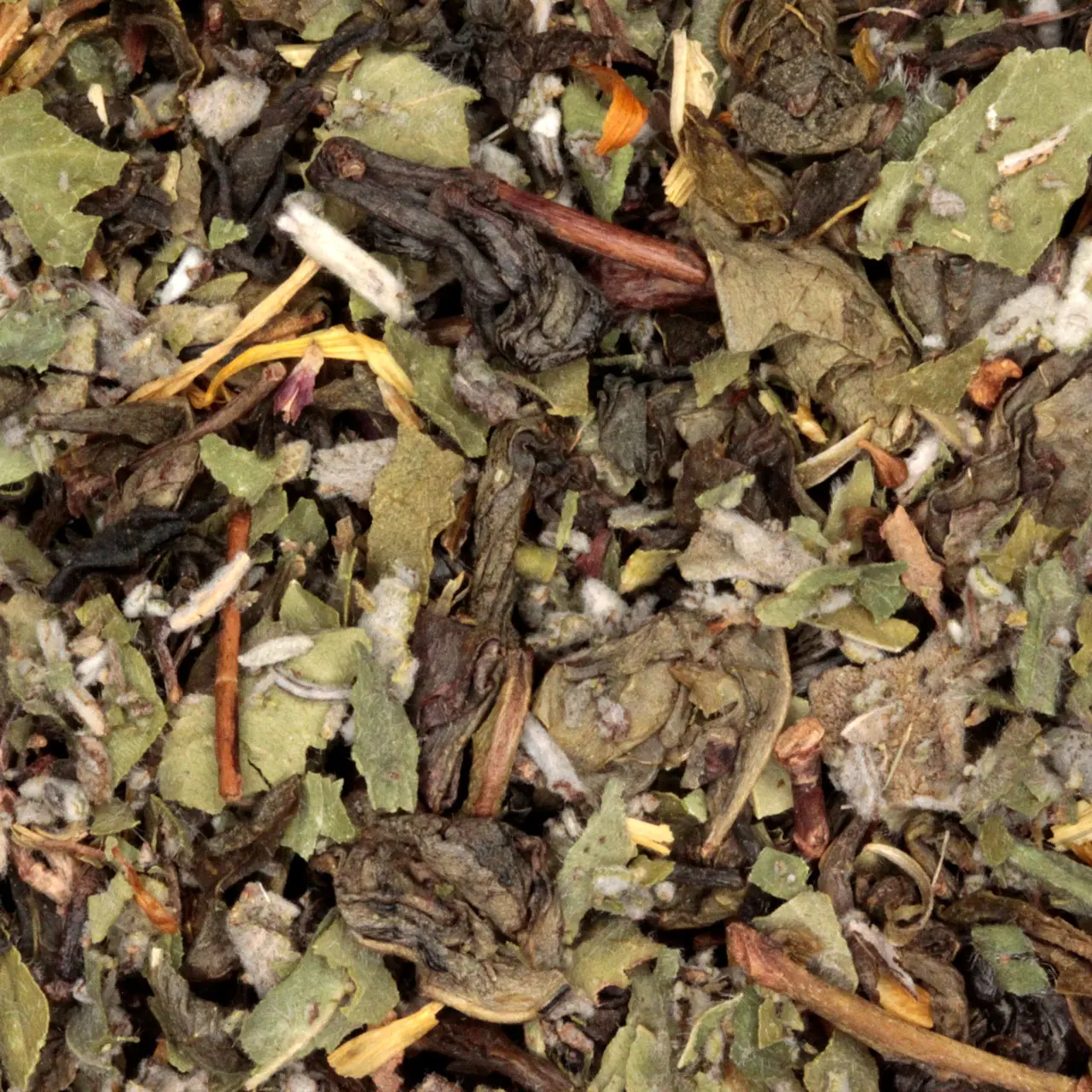 234-godinnen-biologische-groene-thee