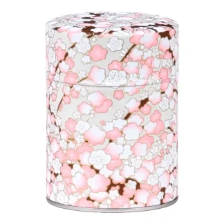 Theeblikje - Esprit Celadon - Machi