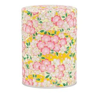 Theeblikje - Esprit Celadon - Owase